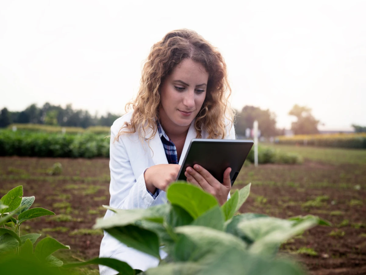 pós-graduação ead em agronegócio 4.0: gestão, dados e tecnologia no campo 720 horas 