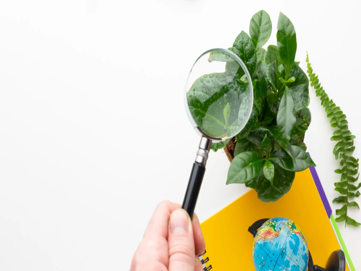 pós-graduação ead em auditoria e perícia ambiental 720 horas 