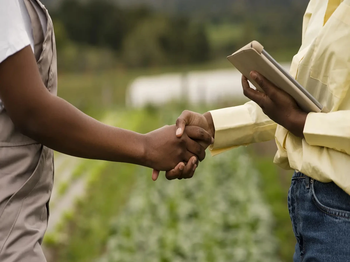 curso de economia rural 180 horas