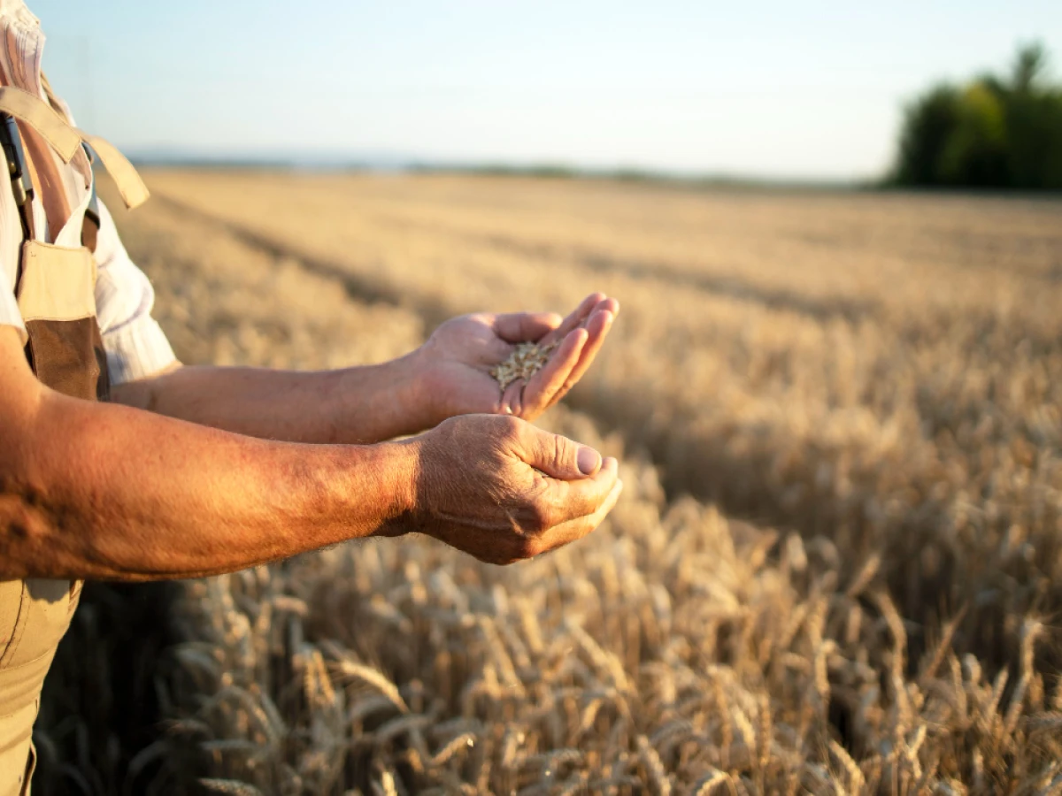 pós-graduação ead em gestão estratégica do agronegócio 720 horas 