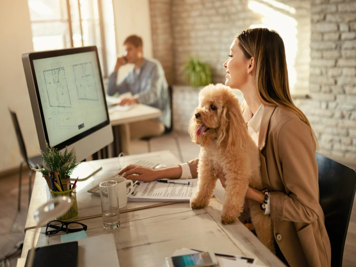 mba ead em mba em gestão estratégica de negócios pet 720 horas 