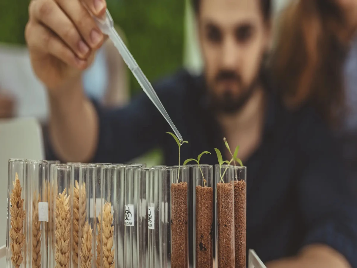 curso de nivelamento de biologia 180 horas